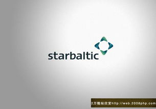 歐美StarBaltic公司企業網站VI形象設計與企業形象策劃